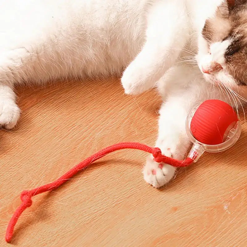 Smart Rolling Cat Ball Toy with Faux Tail – Rechargeable & Fun
