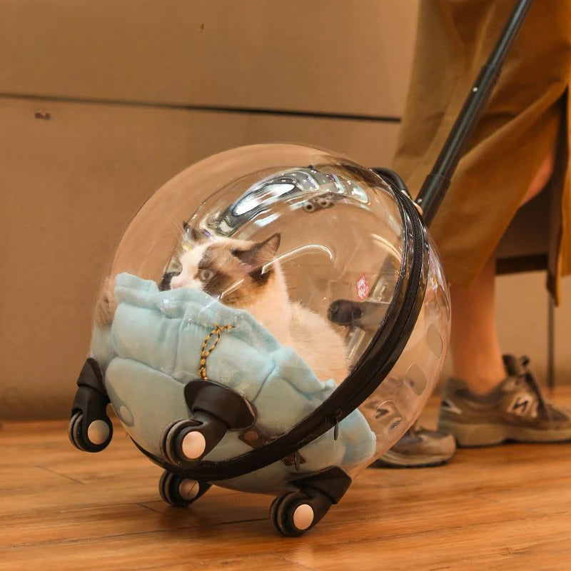 Transparent Cat Travel Trolley Bag Breathable & Large Capacity