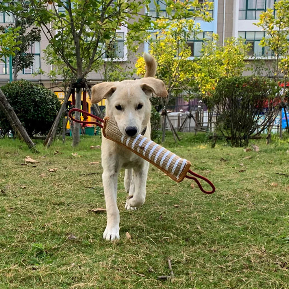 Durable Dog Bite Training Toy – Chew Toy for Small & Medium Dogs