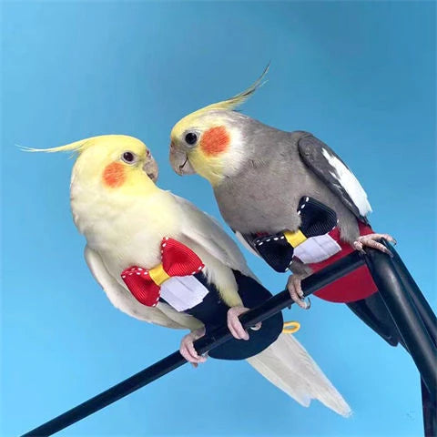 Stylish Cockatiel Tuxedo with Diaper – Bird Flight Suit Outfit