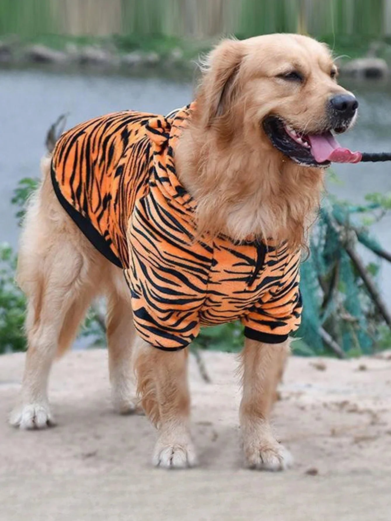 Funny Tiger Winter Dog Outfit – Warm Costume for Large Dogs