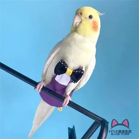 Stylish Cockatiel Tuxedo with Diaper – Bird Flight Suit Outfit