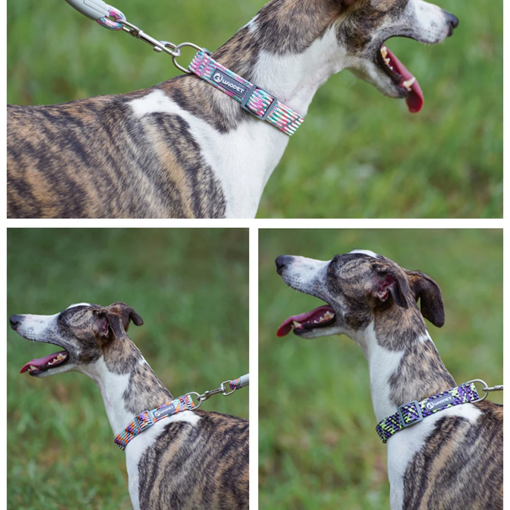 Reflective Nylon Dog Collar – Adjustable, Durable for All Breeds