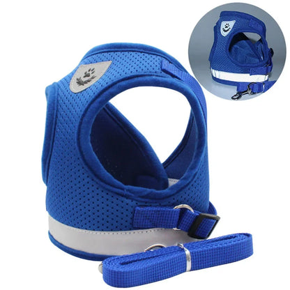 Adjustable Reflective Cat & Small Dog Harness Leash Set – Escape Proof