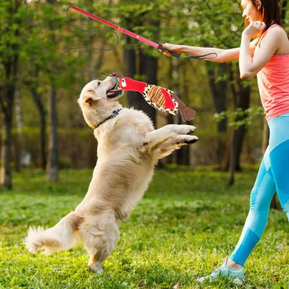 Flirt Pole Tug Toy for Dogs – Interactive Chase & Play Wand
