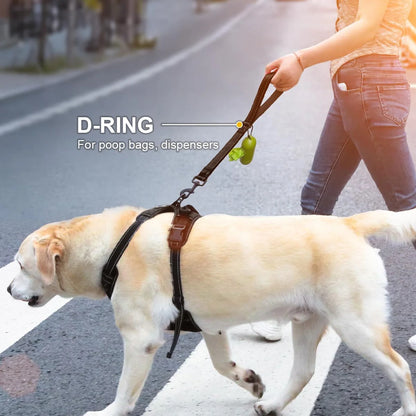 Short Dog Leash – Heavy Duty Nylon with Padded Traffic Handle