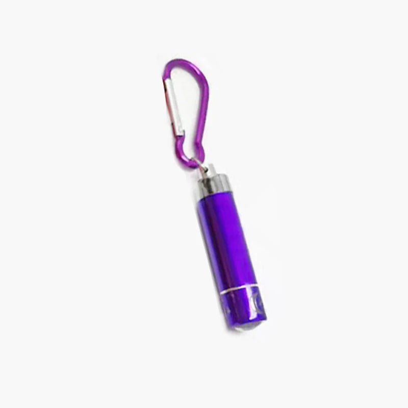 Cat Laser Pointer Toy, LED Aluminum Pen Light, Mini Portable Torch