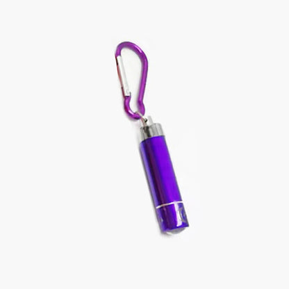 Cat Laser Pointer Toy, LED Aluminum Pen Light, Mini Portable Torch