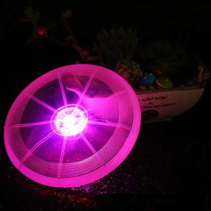 LED Light-Up Flying Disc for Dogs – Durable Night Fetch Toy