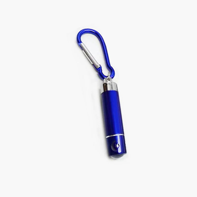 Cat Laser Pointer Toy, LED Aluminum Pen Light, Mini Portable Torch