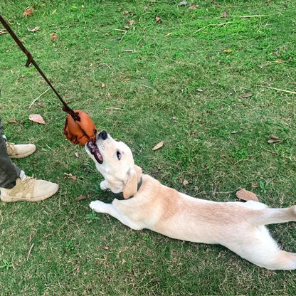 Leather Dog Tug Ball Toy with Handle – Durable Bite & Training Toy