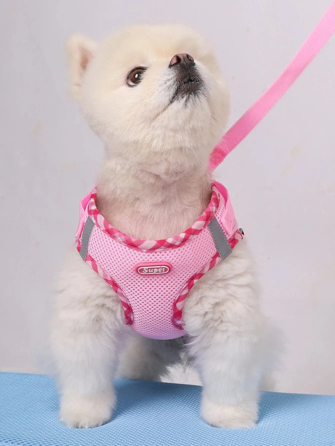 Supet No-Pull Dog Harness – Adjustable Pet Vest for Small & Medium Dog