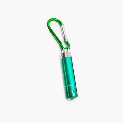 Cat Laser Pointer Toy, LED Aluminum Pen Light, Mini Portable Torch