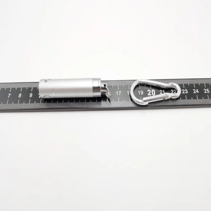 Cat Laser Pointer Toy, LED Aluminum Pen Light, Mini Portable Torch