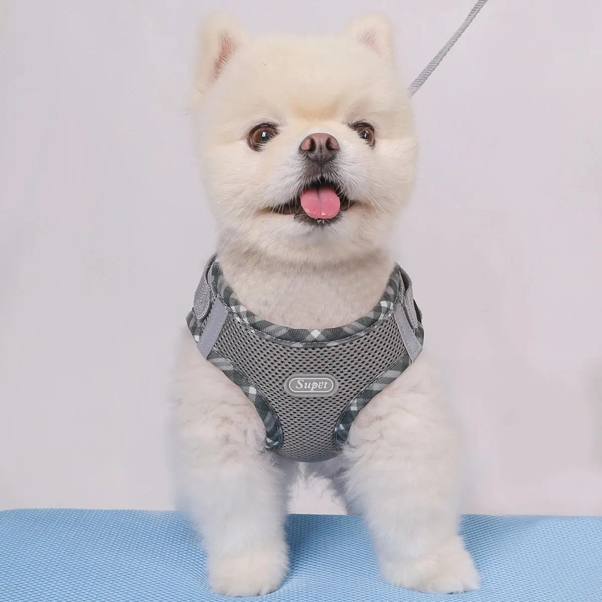 Supet No-Pull Dog Harness – Adjustable Pet Vest for Small & Medium Dog