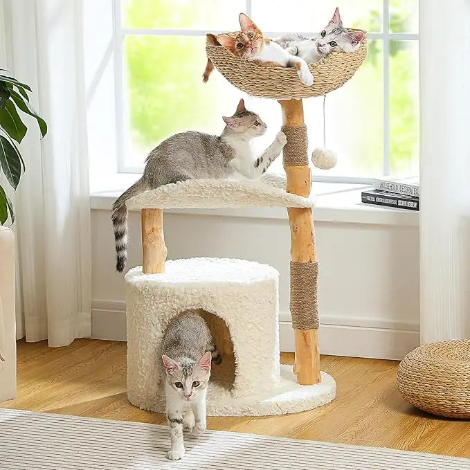 Modern Wood Cat Tower for Large Cats, Real Branch, Big Cozy Condo