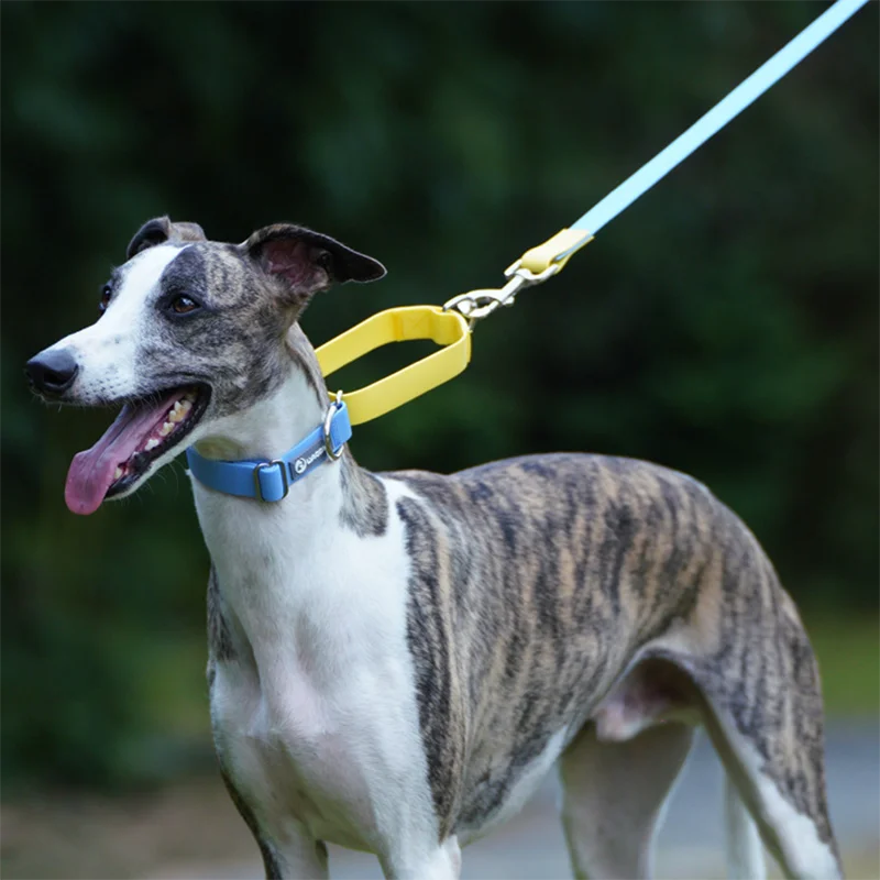 Waterproof PVC Dog Collar & Leash Set – Adjustable & Durable