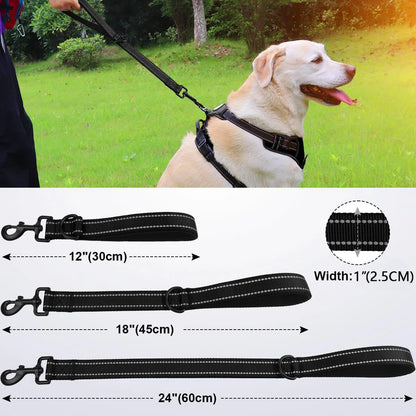 Short Dog Leash – Heavy Duty Nylon with Padded Traffic Handle