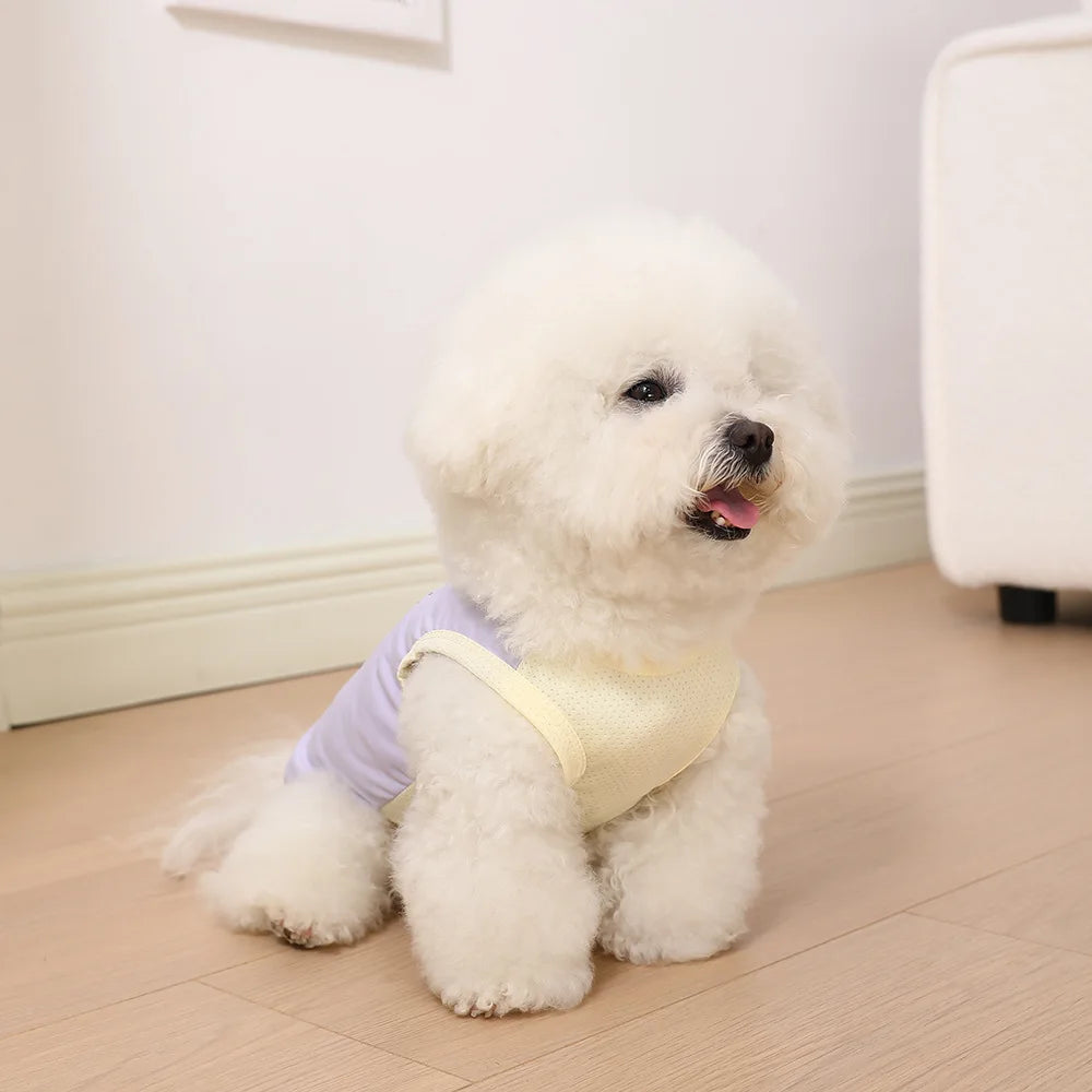 Cooling Dog Tank Top – Breathable, Sun-Protective Summer Vest