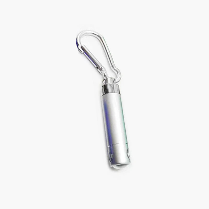 Cat Laser Pointer Toy, LED Aluminum Pen Light, Mini Portable Torch