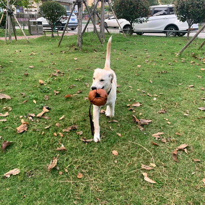 Leather Dog Tug Ball Toy with Handle – Durable Bite & Training Toy