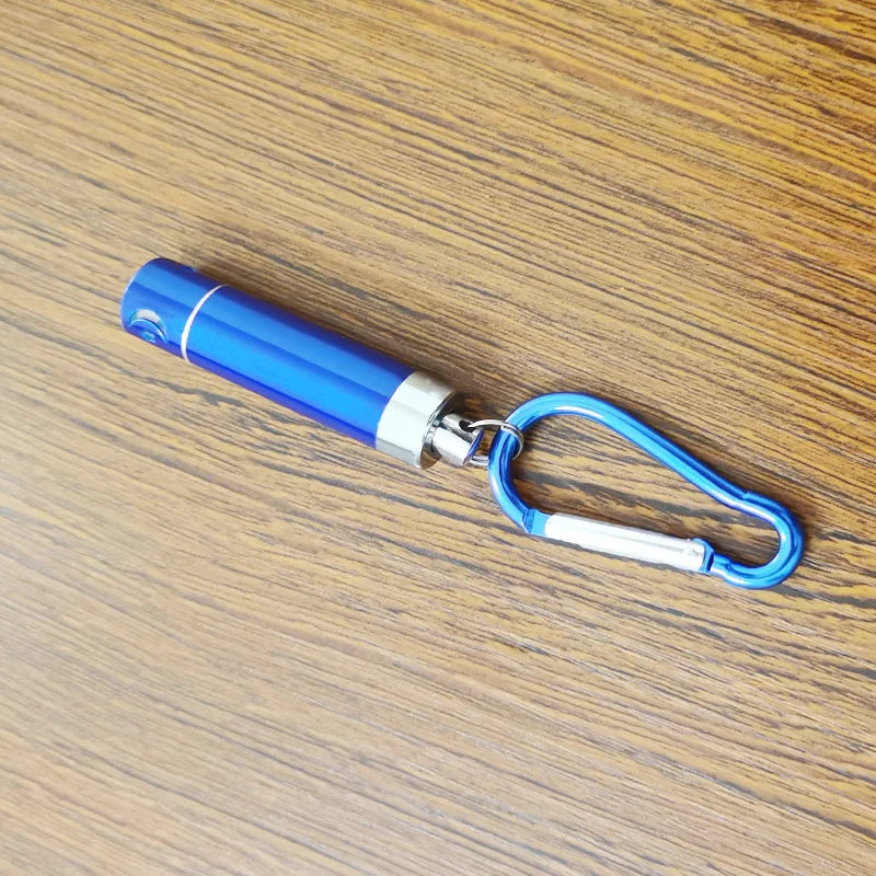 Cat Laser Pointer Toy, LED Aluminum Pen Light, Mini Portable Torch